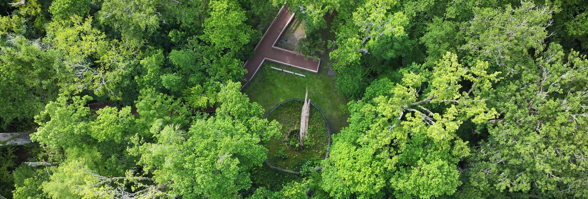 Florida Longwood 1920X650